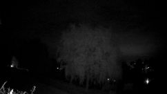 Rosarium Webcam