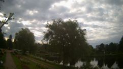 Rosarium Webcam