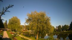 Rosarium Webcam