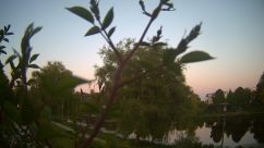 Rosarium Webcam
