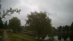 Rosarium Webcam