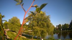 Rosarium Webcam