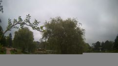 Rosarium Webcam