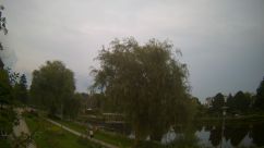 Rosarium Webcam