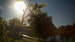 Rosarium Webcam