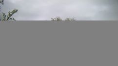 Rosarium Webcam