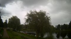 Rosarium Webcam
