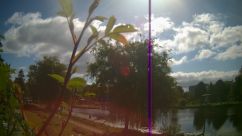 Rosarium Webcam