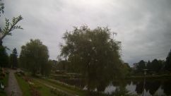 Rosarium Webcam