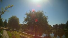 Rosarium Webcam