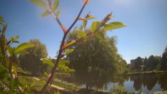 Rosarium Webcam