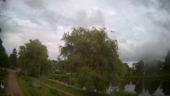 Rosarium Webcam