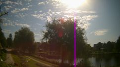 Rosarium Webcam