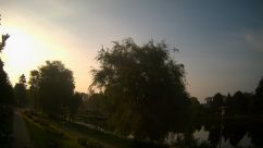 Rosarium Webcam