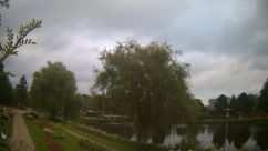 Rosarium Webcam