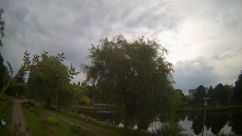 Rosarium Webcam
