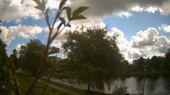 Rosarium Webcam