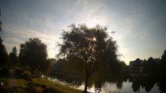 Rosarium Webcam