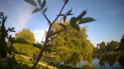 Rosarium Webcam