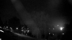 Rosarium Webcam