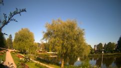 Rosarium Webcam