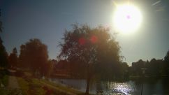 Rosarium Webcam