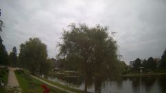 Rosarium Webcam