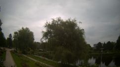 Rosarium Webcam