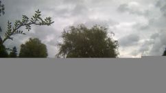 Rosarium Webcam