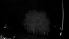 Rosarium Webcam