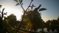 Rosarium Webcam