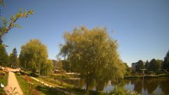 Rosarium Webcam
