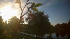 Rosarium Webcam