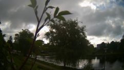 Rosarium Webcam