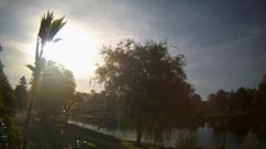 Rosarium Webcam