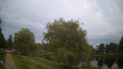 Rosarium Webcam