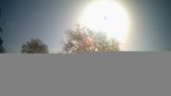 Rosarium Webcam