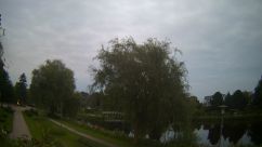 Rosarium Webcam