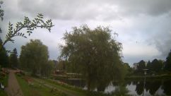 Rosarium Webcam