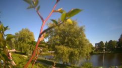 Rosarium Webcam