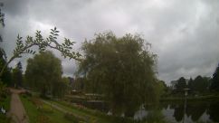 Rosarium Webcam