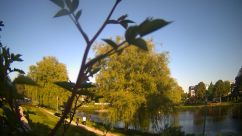 Rosarium Webcam