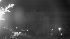Rosarium Webcam
