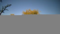 Rosarium Webcam