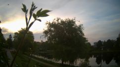 Rosarium Webcam