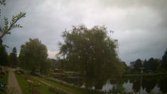 Rosarium Webcam