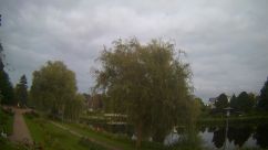 Rosarium Webcam