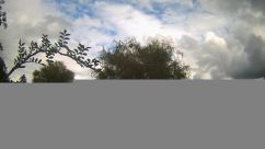 Rosarium Webcam