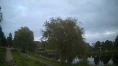 Rosarium Webcam