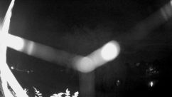 Rosarium Webcam